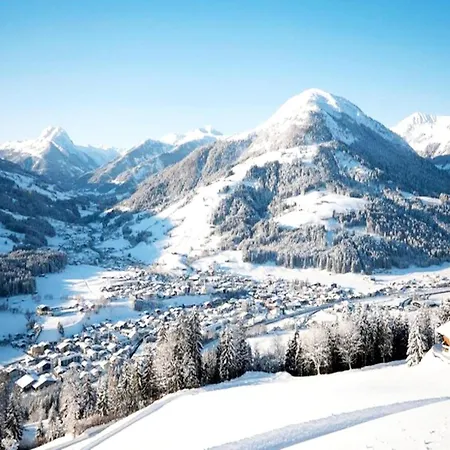 Apartment In Kirchberg Near Lift